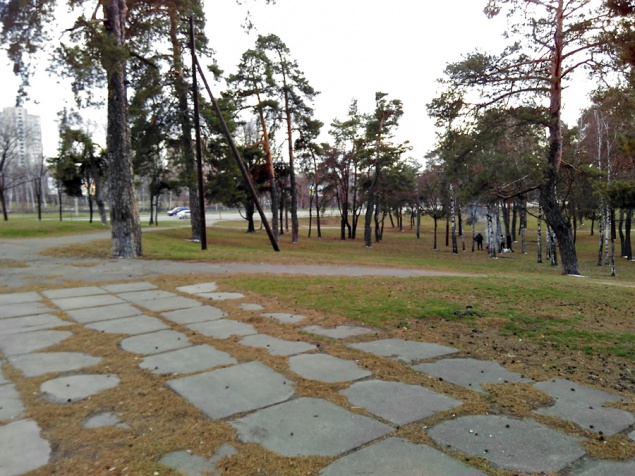 Заневский парк фото после реконструкции